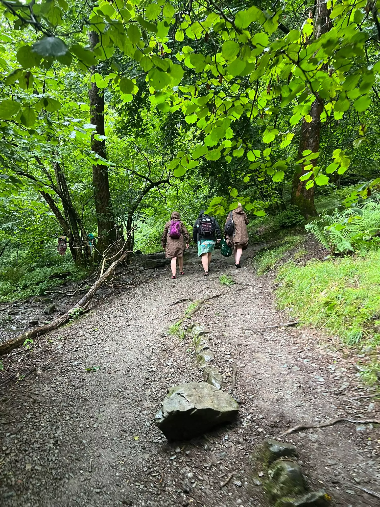 Retreats Of Cheshire - Guided Walk